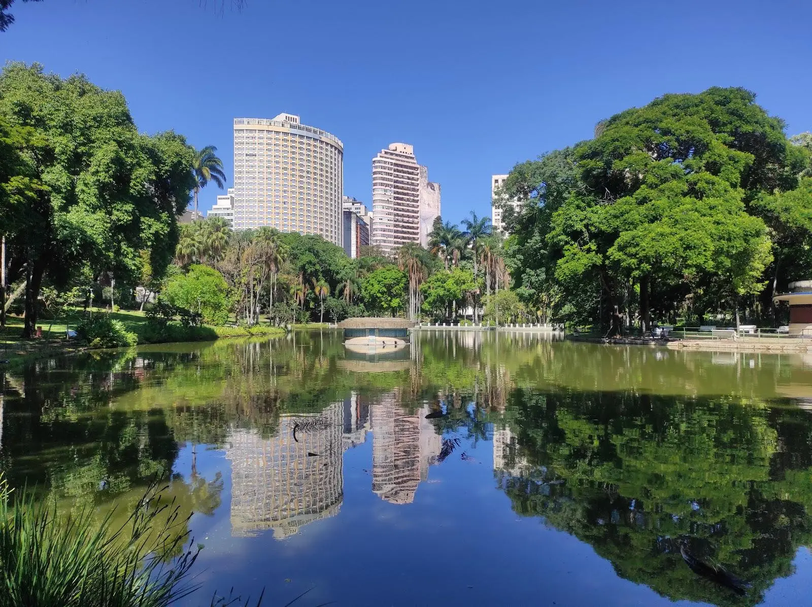 O que fazer perto do Royal Center Hotel 4 lugares para conhecer a poucos minutos do centro de BH